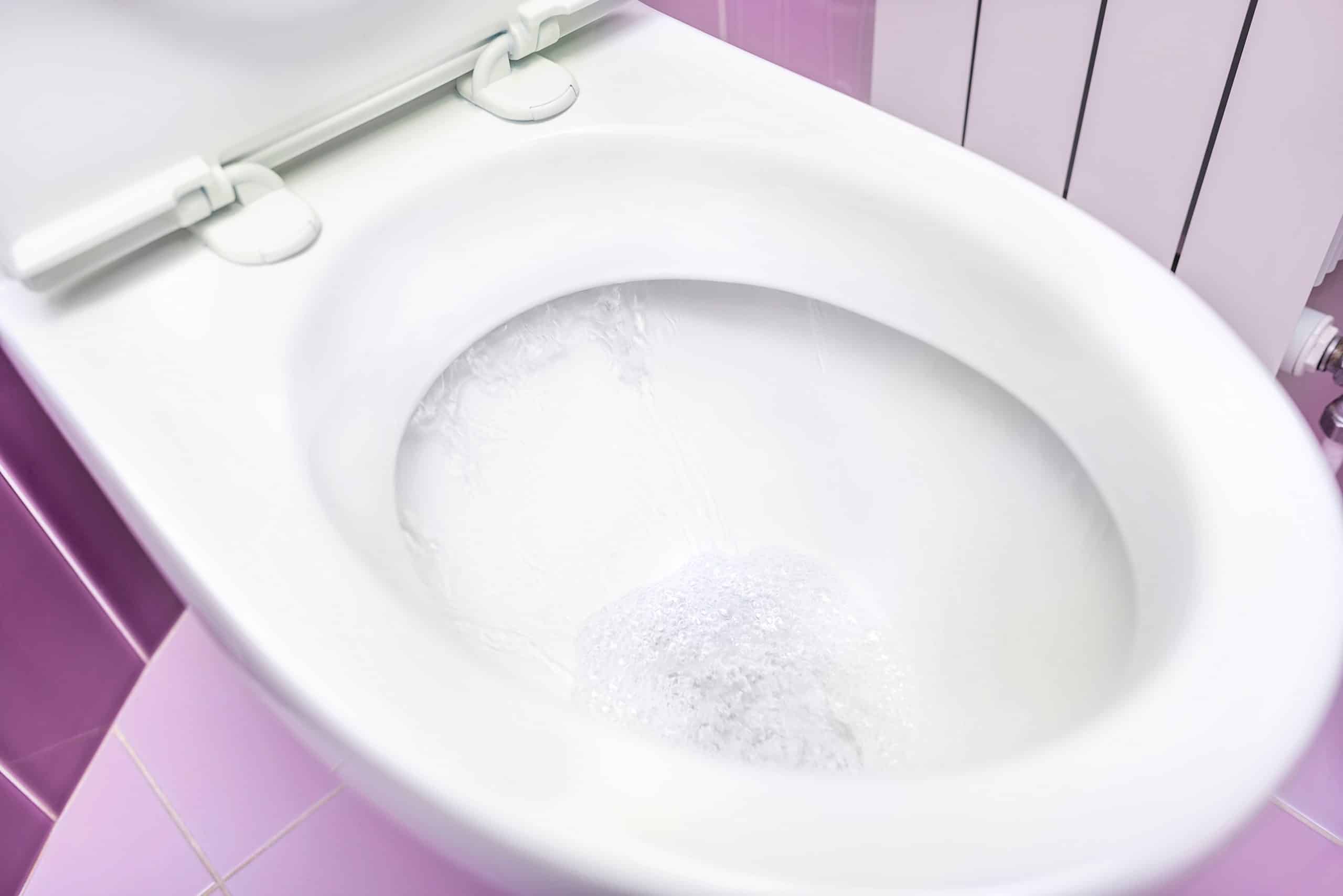 Miscela effervescente di bicarbonato e aceto bianco nel water
